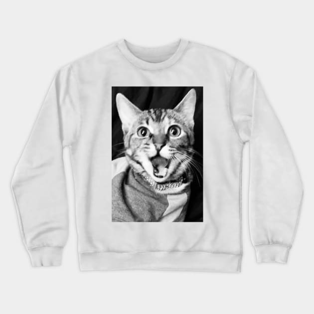 Hey Hey hey Crewneck Sweatshirt by heyokamuse